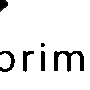 PT Prima Zen Logo